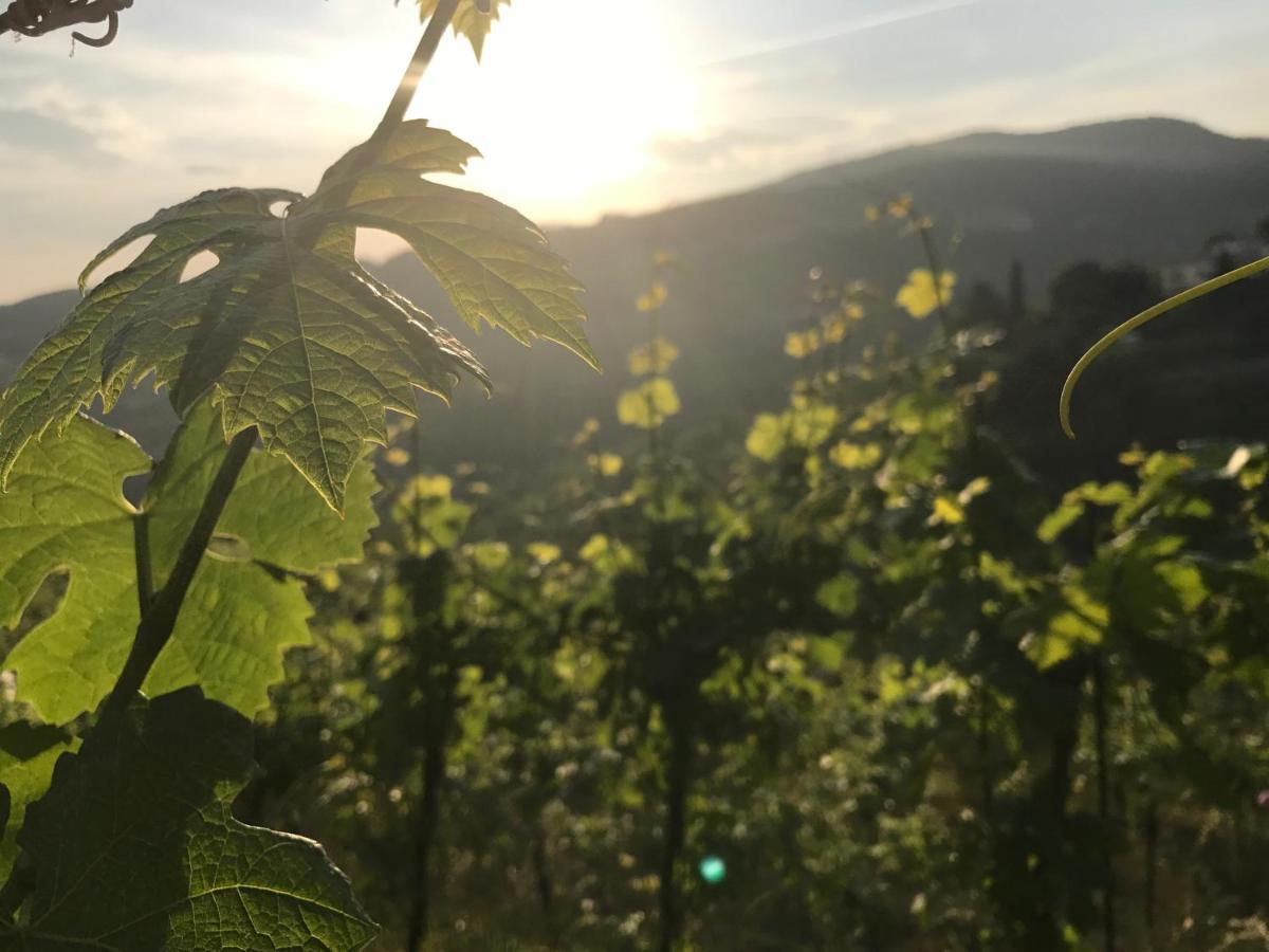 Locanda "Al Terrazzo" Erbezzo Luaran gambar